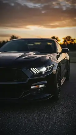 Motion Car Frame Set