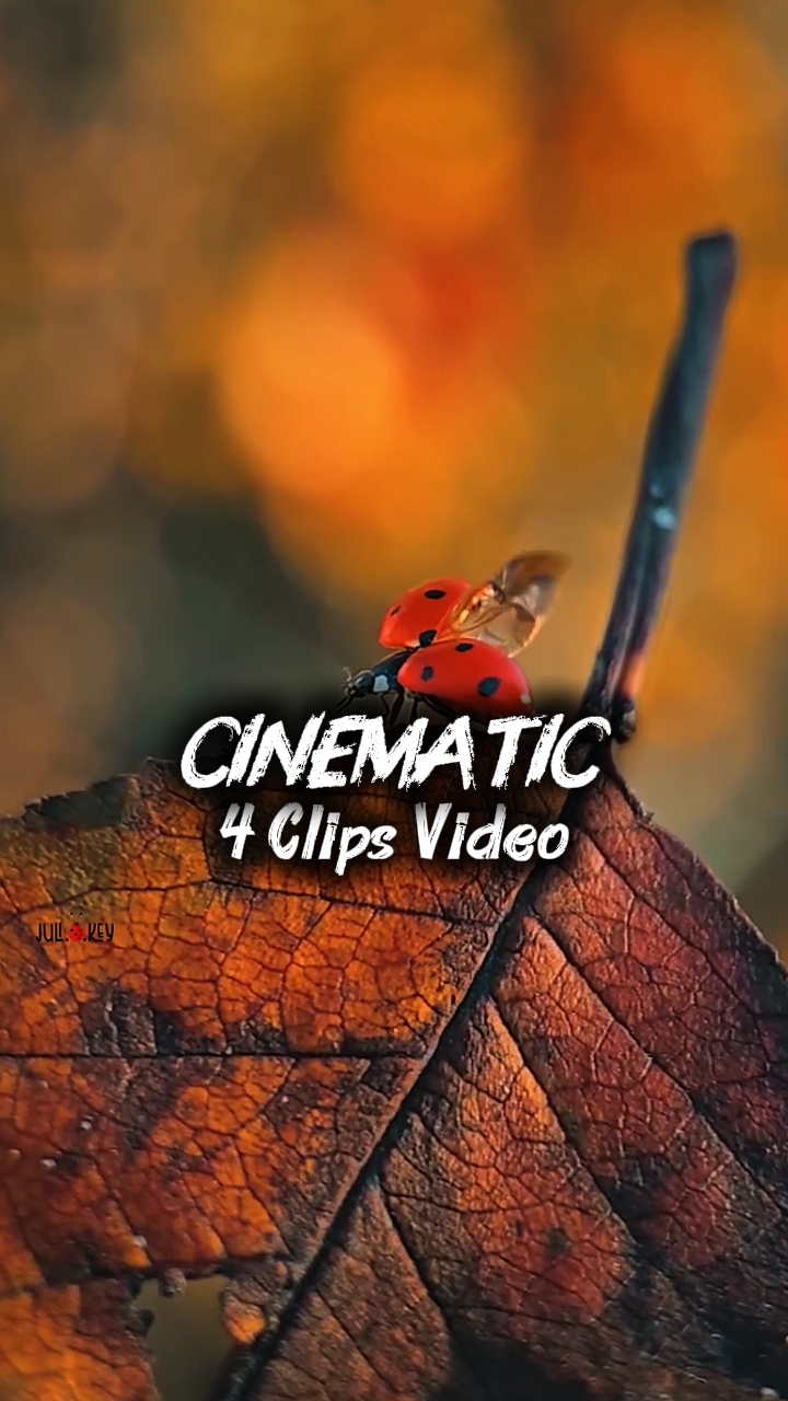 CINEMÁTICO 4 CLIPES 