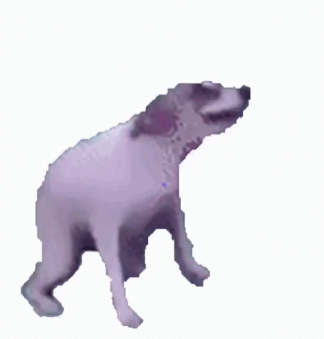 춤추는 개 