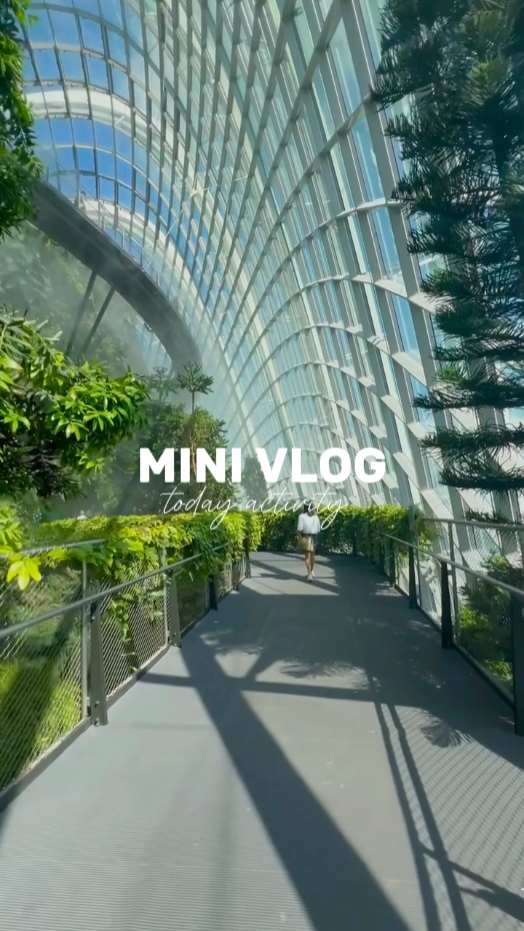 Mini Vlog hoy 