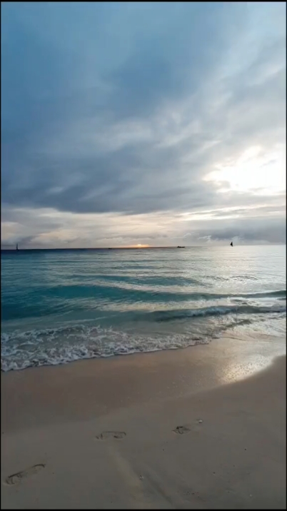 seashore walk