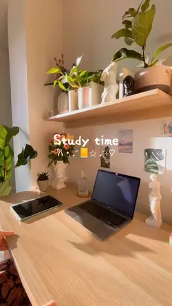 study time