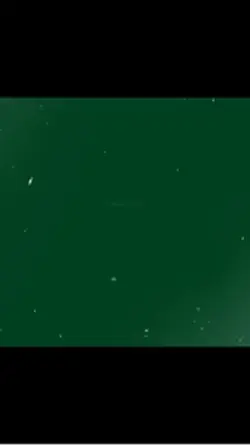 Hiç olmadım kaybeden