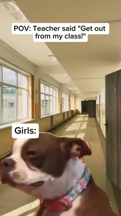 Girls and Boys meme