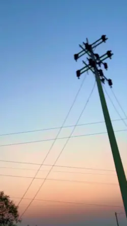 রাত জাগা পাখি ডাকে