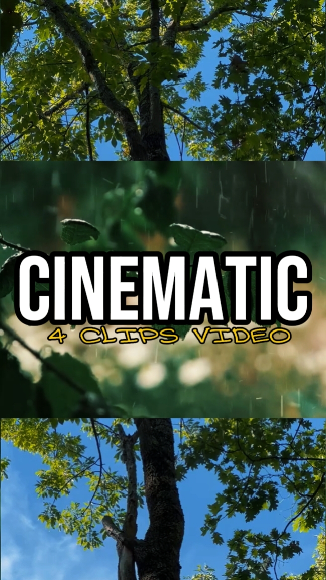 CINEMATIC 4 CLIPS 
