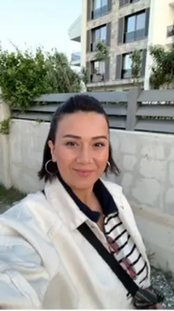 Geçiş efekti