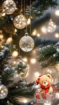 Frohe Weihnachten 🎁 