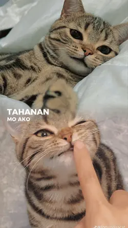TAHANAN 