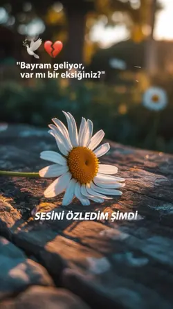 Bayram şablonu