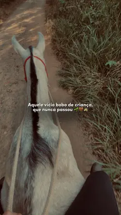 Aquele vício bobo 🐴