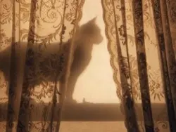 . a 𝗹𝗶𝗴𝗵𝘁 sleep