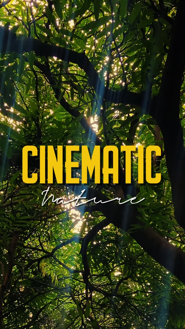 NATURALEZA CINEMÁTICA 