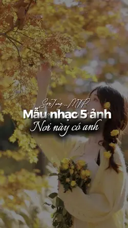 Mẫu 5 ảnh