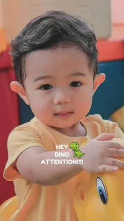 DINO ATTENTION