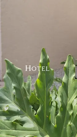 Hotel Hacienda clips