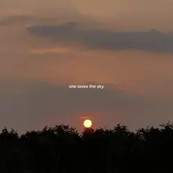 The sunset