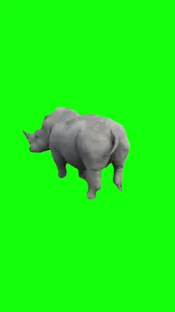 rhino poop