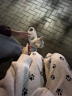 ...