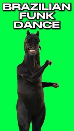 BRAZILIAN FUNK HORSE
