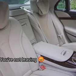 tiktok viral