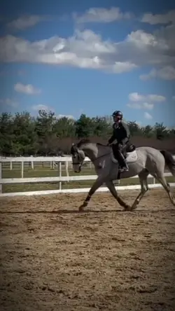 Big boy trot 😍