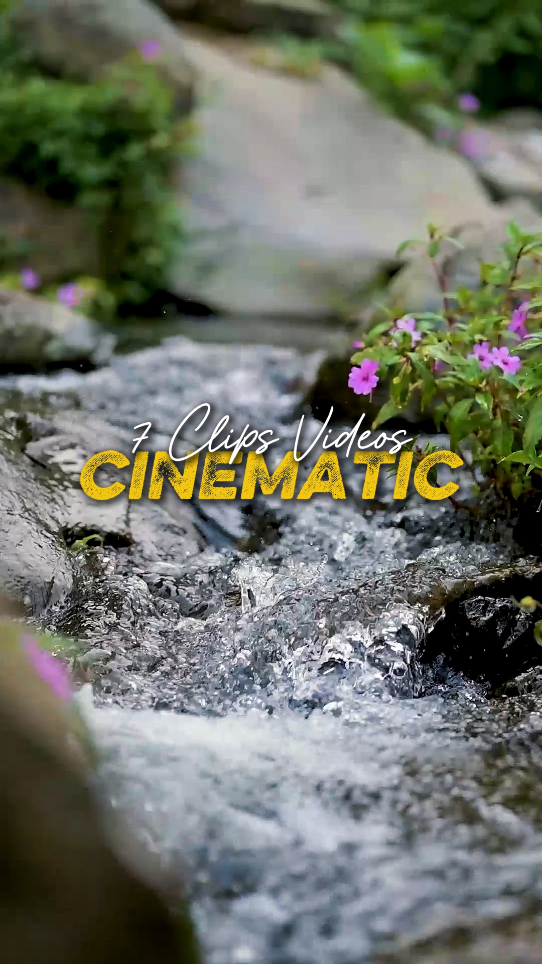 Vídeos Cinemáticos 7