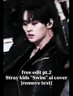 edit Stray kids pt.2
