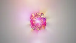 Colorful Flowers