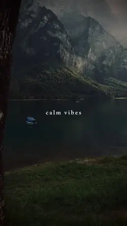 calm vibes 