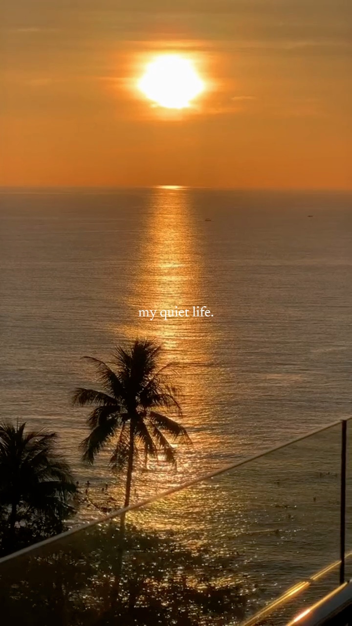 my quiet life🧸