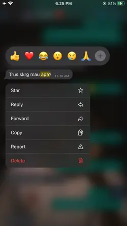 chat 
