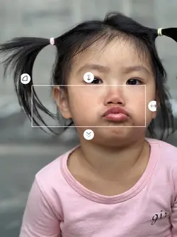 从此看不到你的脸