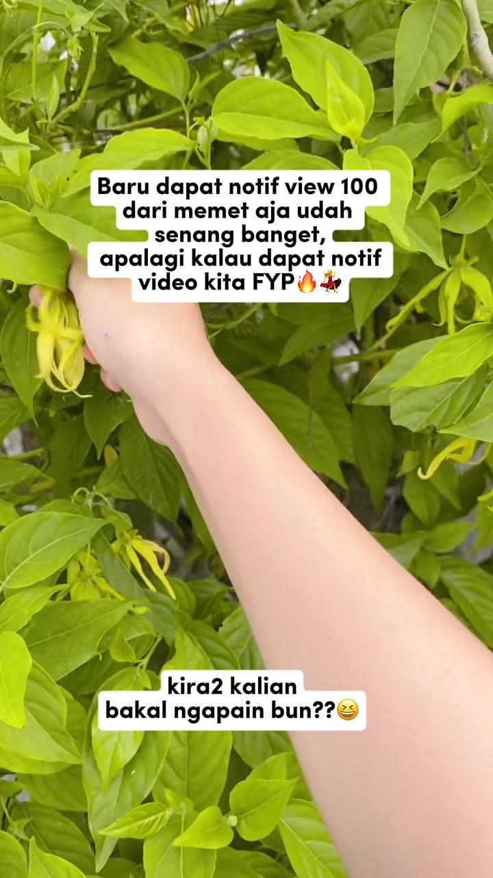 Konten fbpro