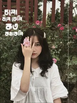 তোমাকে চাই 
