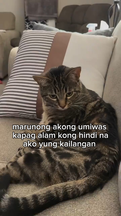 Tiwala