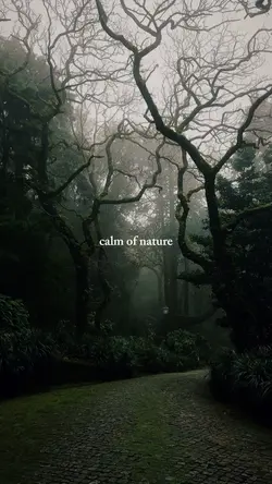 calm of nature