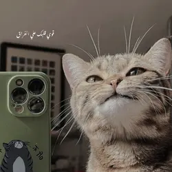 Aesthetic