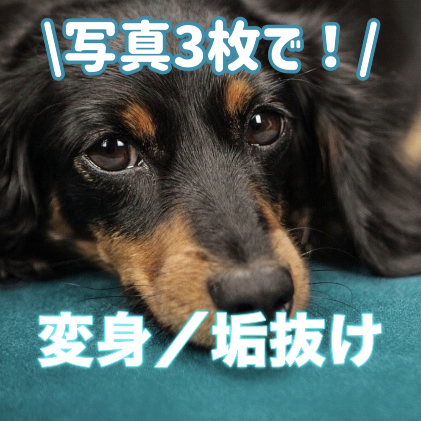 変身／垢抜け動画✨📷3枚！