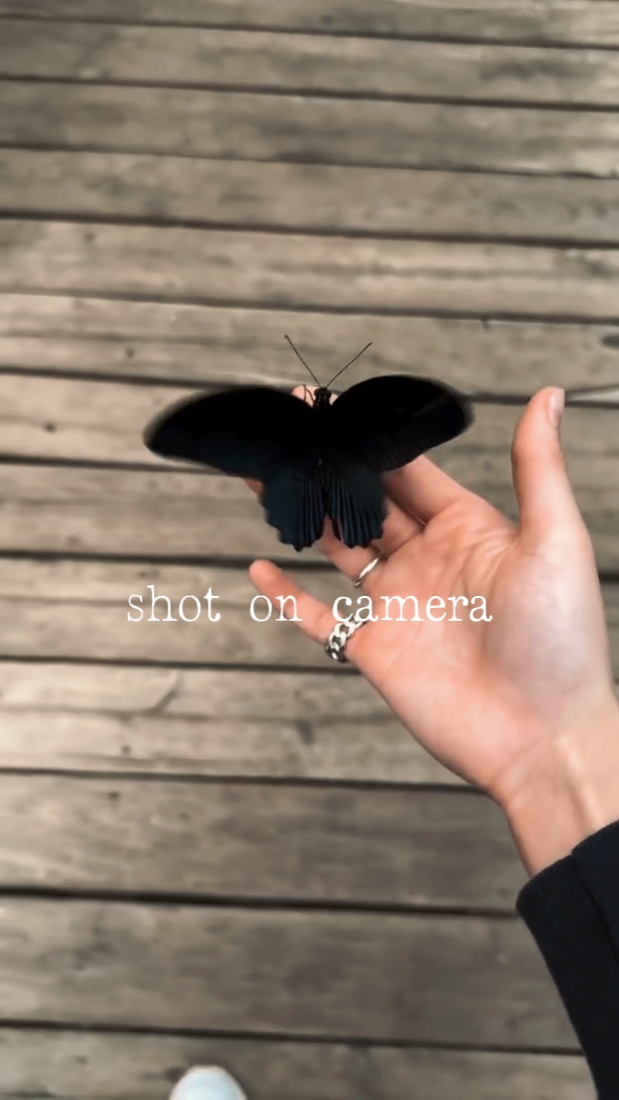 film by camera