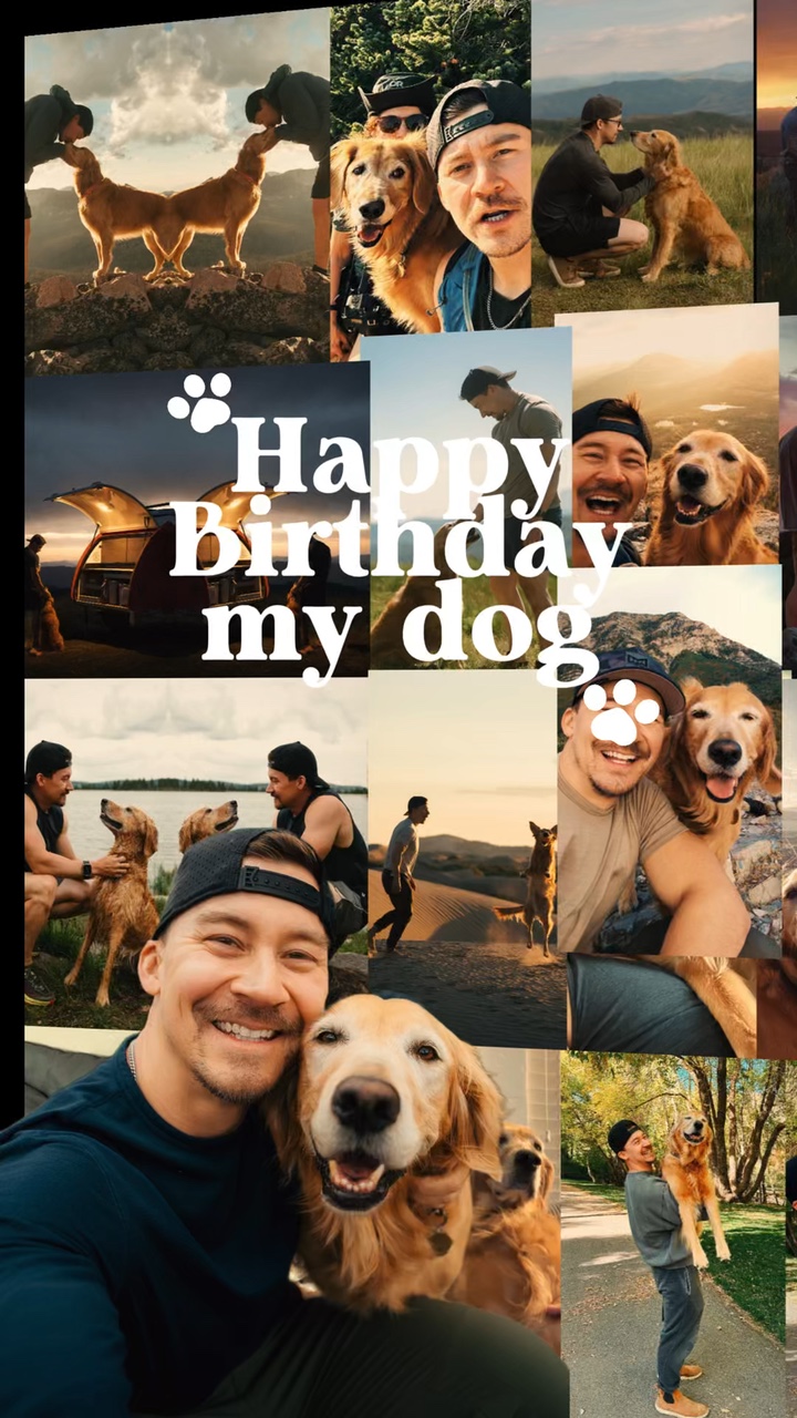 Cachorro feliz aniversário