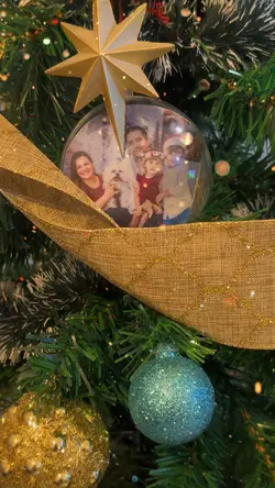 Árvore de Natal 2025