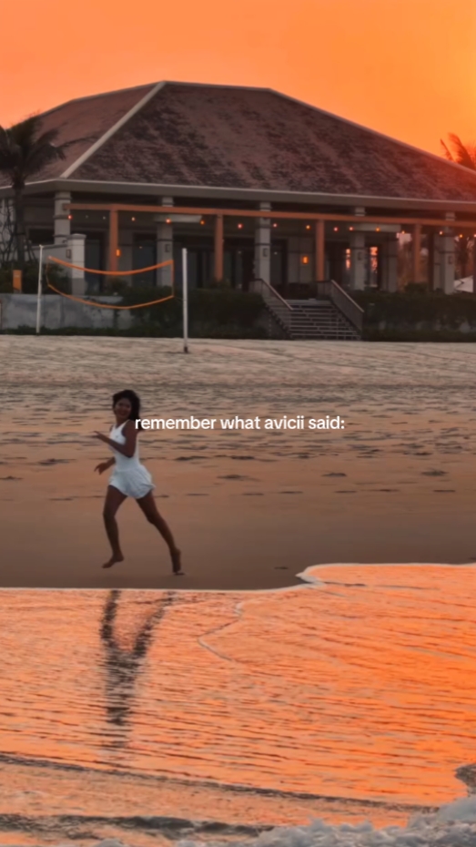 ne avicii hatırla