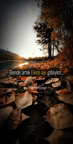 Ekim ayı gibiyim!