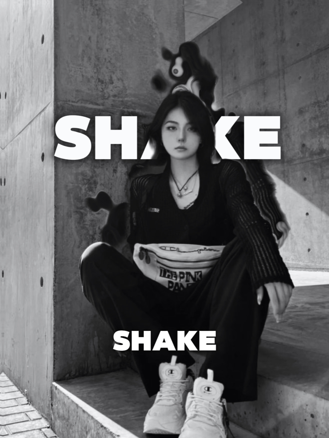 Shake It To The Max