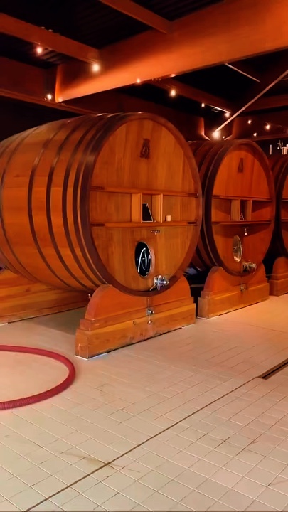 Vignoble