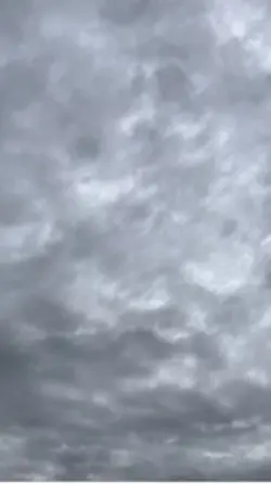 今日の天気