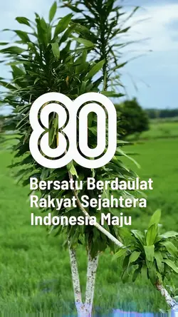 HUT RI 80