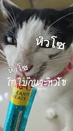 กินซ่ะะะ
