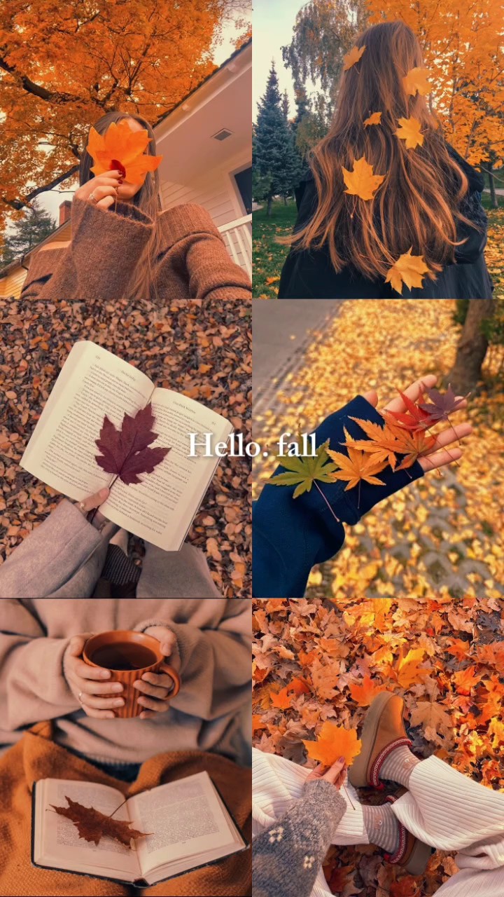 Fondo de pantalla de otoño 